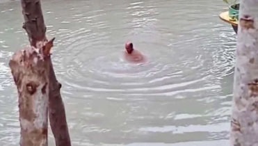 ঠান্ডায় প্রাণ গেল বৃদ্ধের